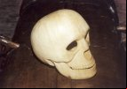 Cranio entalhado na madeira
